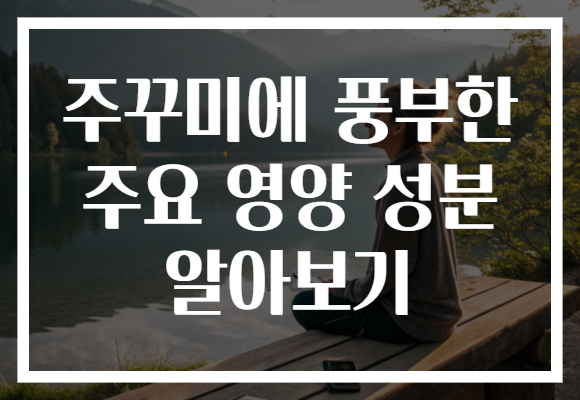 주꾸미에 풍부한 주요 영양 성분 알아보기