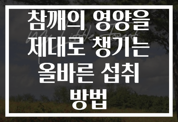 참깨의 영양을 제대로 챙기는 올바른 섭취 방법