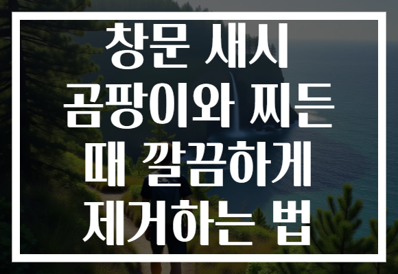 창문 새시 곰팡이와 찌든 때 깔끔하게 제거하는 법