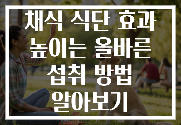 채식 식단 효과 높이는 올바른 섭취 방법 알아보기