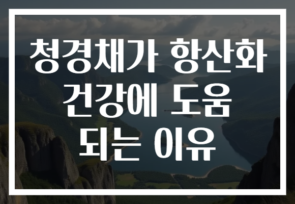 청경채가 항산화 건강에 도움 되는 이유