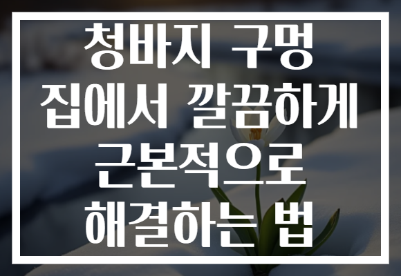 청바지 구멍 집에서 깔끔하게 근본적으로 해결하는 법