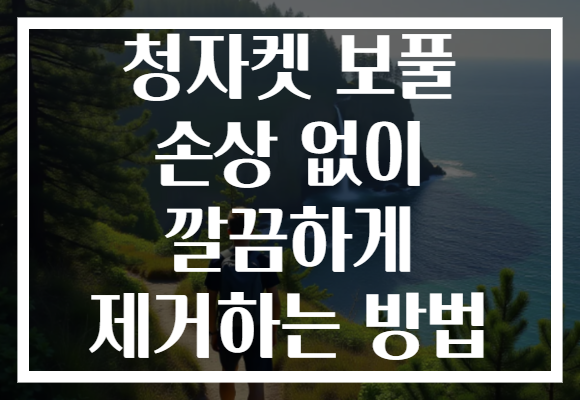 청자켓 보풀 손상 없이 깔끔하게 제거하는 방법
