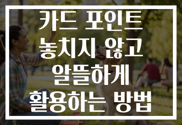 카드 포인트 놓치지 않고 알뜰하게 활용하는 방법