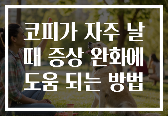 코피가 자주 날 때 증상 완화에 도움 되는 방법