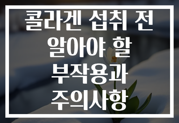 콜라겐 섭취 전 알아야 할 부작용과 주의사항