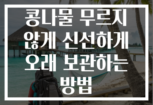 콩나물 무르지 않게 신선하게 오래 보관하는 방법