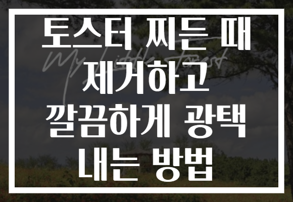 토스터 찌든 때 제거하고 깔끔하게 광택 내는 방법