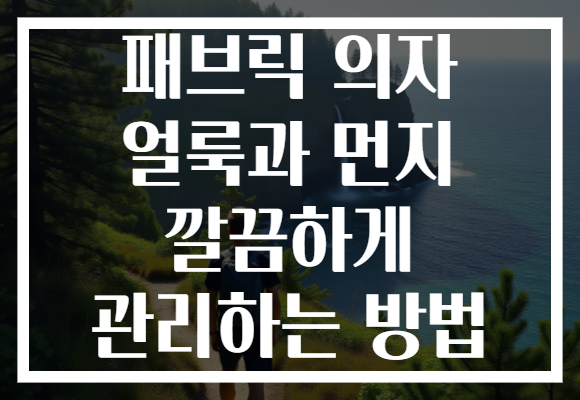 패브릭 의자 얼룩과 먼지 깔끔하게 관리하는 방법
