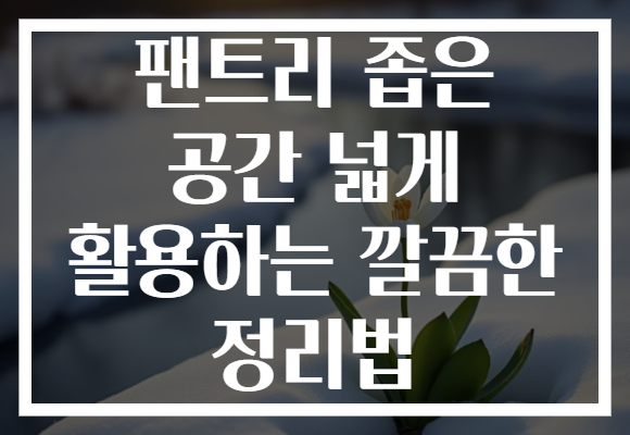 팬트리 좁은 공간 넓게 활용하는 깔끔한 정리법