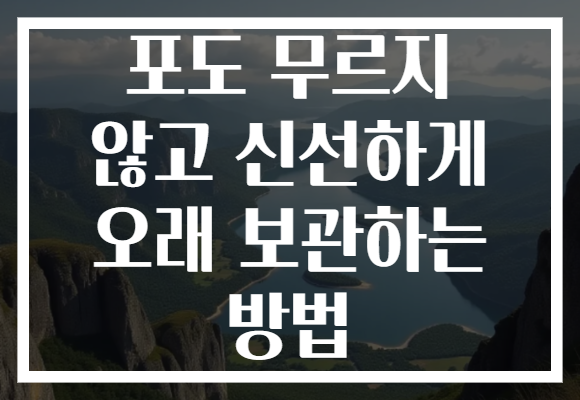 포도 무르지 않고 신선하게 오래 보관하는 방법