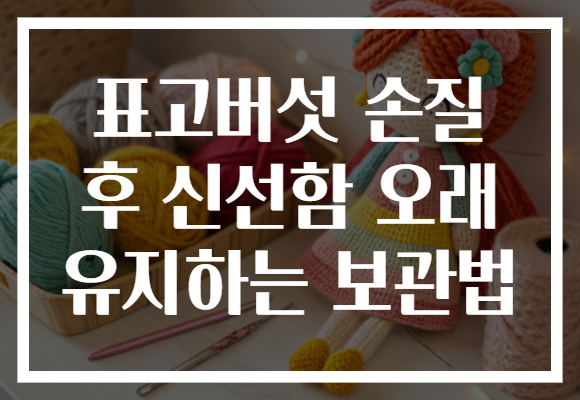 표고버섯 손질 후 신선함 오래 유지하는 보관법