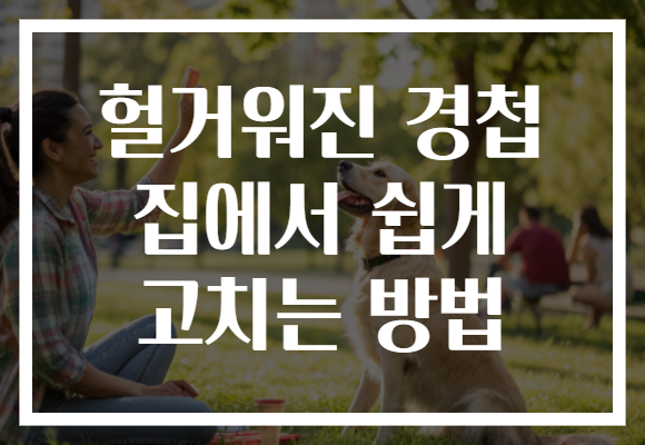 헐거워진 경첩 집에서 쉽게 고치는 방법