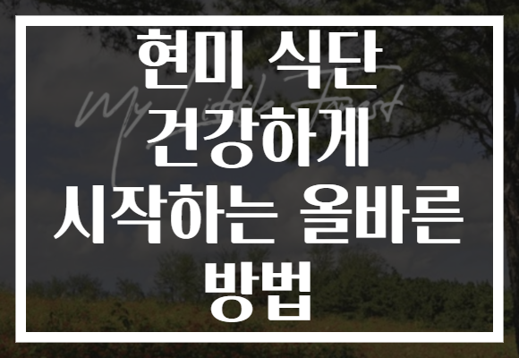 현미 식단 건강하게 시작하는 올바른 방법