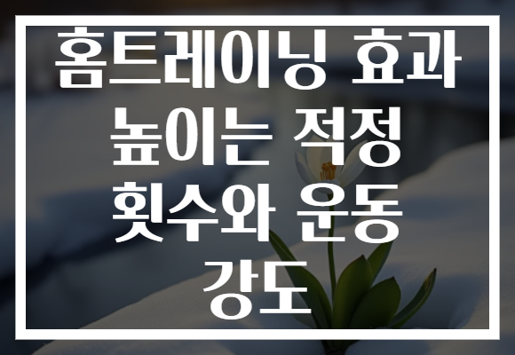 홈트레이닝 효과 높이는 적정 횟수와 운동 강도
