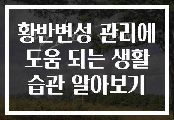 황반변성 관리에 도움 되는 생활 습관 알아보기
