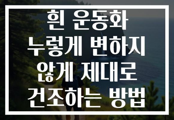 흰 운동화 누렇게 변하지 않게 제대로 건조하는 방법