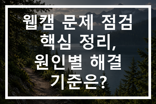 웹캠 문제 점검 핵심 정리, 원인별 해결 기준은?