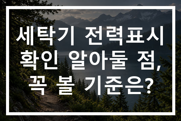 세탁기 전력표시 확인 알아둘 점, 꼭 볼 기준은?