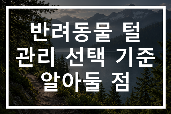 반려동물 털 관리 선택 기준 알아둘 점