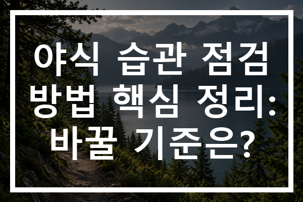 야식 습관 점검 방법 핵심 정리: 바꿀 기준은?