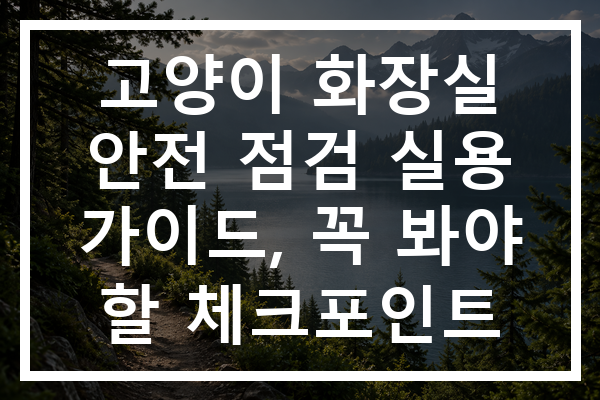 고양이 화장실 안전 점검 실용 가이드, 꼭 봐야 할 체크포인트