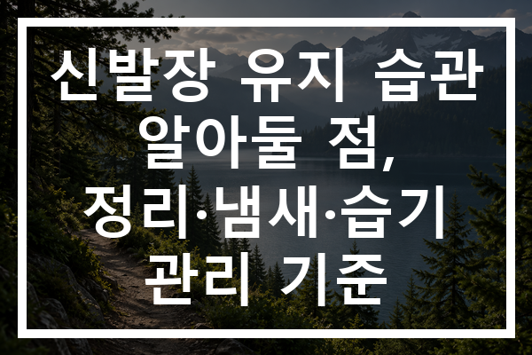 신발장 유지 습관 알아둘 점, 정리·냄새·습기 관리 기준