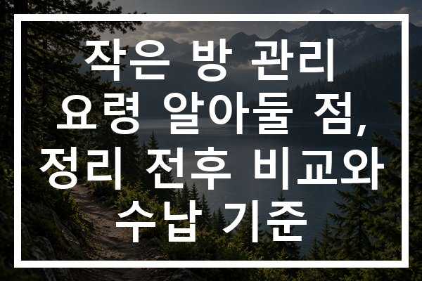 작은 방 관리 요령 알아둘 점, 정리 전후 비교와 수납 기준