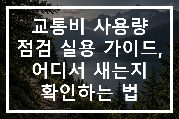 교통비 사용량 점검 실용 가이드, 어디서 새는지 확인하는 법