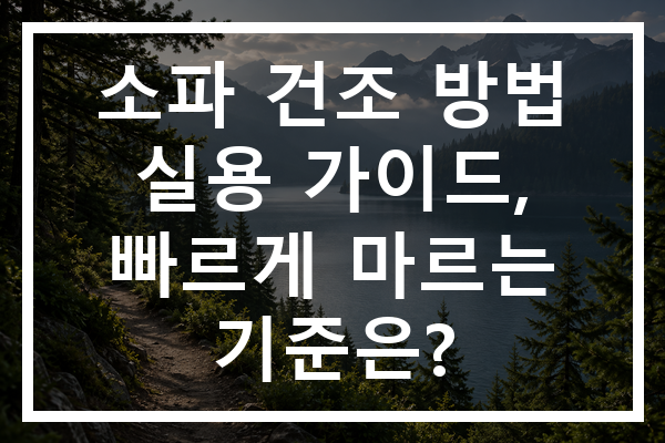 소파 건조 방법 실용 가이드, 빠르게 마르는 기준은?