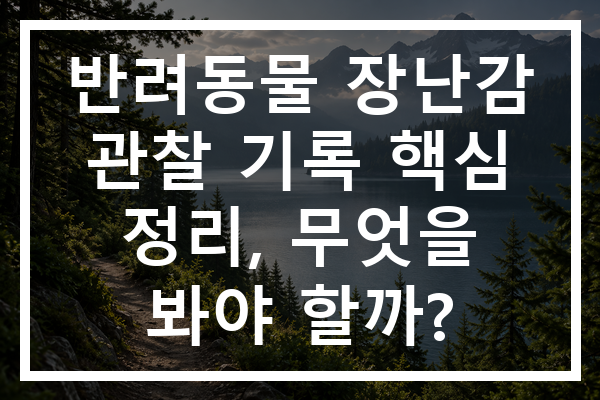 반려동물 장난감 관찰 기록 핵심 정리, 무엇을 봐야 할까?