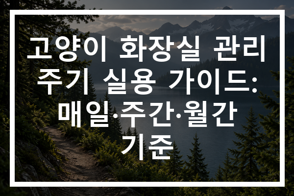 고양이 화장실 관리 주기 실용 가이드: 매일·주간·월간 기준
