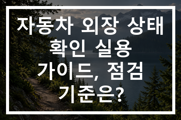 자동차 외장 상태 확인 실용 가이드, 점검 기준은?