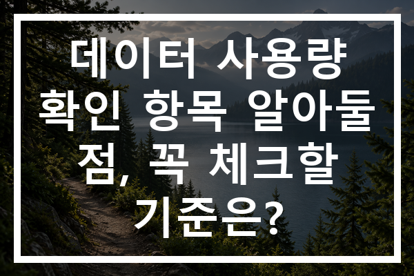 데이터 사용량 확인 항목 알아둘 점, 꼭 체크할 기준은?