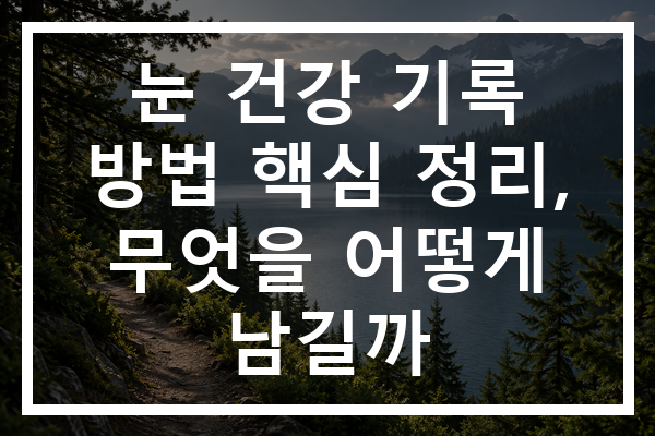눈 건강 기록 방법 핵심 정리, 무엇을 어떻게 남길까