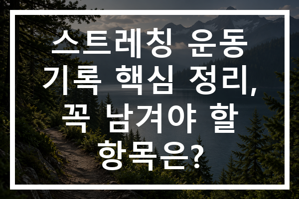 스트레칭 운동 기록 핵심 정리, 꼭 남겨야 할 항목은?
