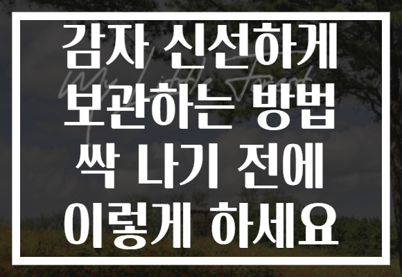 감자 신선하게 보관하는 방법 싹 나기 전에 이렇게 하세요