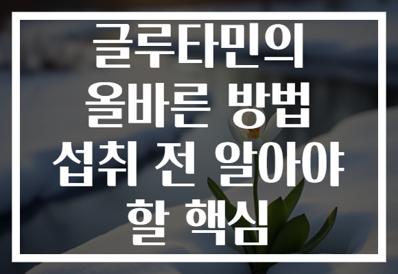 글루타민의 올바른 방법 섭취 전 알아야 할 핵심