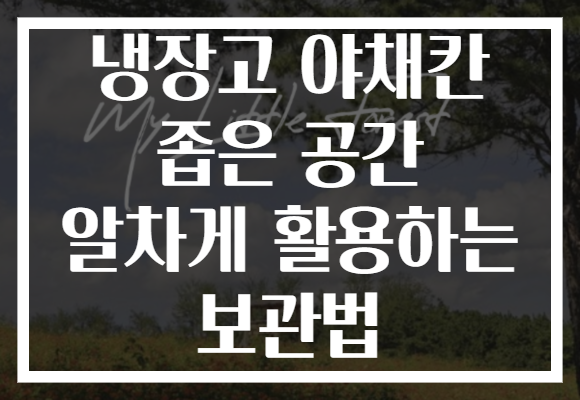 냉장고 야채칸 좁은 공간 알차게 활용하는 보관법