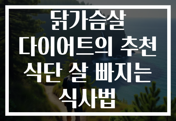 닭가슴살 다이어트의 추천 식단 살 빠지는 식사법