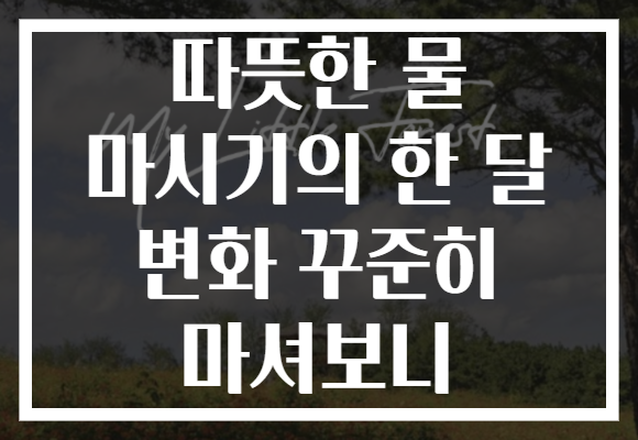 따뜻한 물 마시기의 한 달 변화 꾸준히 마셔보니