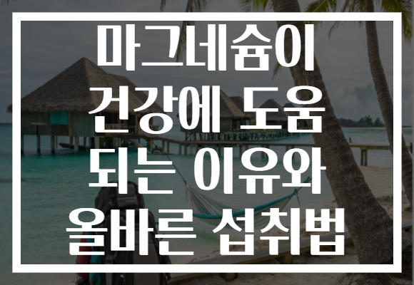 마그네슘이 건강에 도움 되는 이유와 올바른 섭취법
