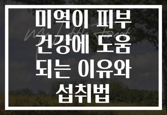 미역이 피부 건강에 도움 되는 이유와 섭취법