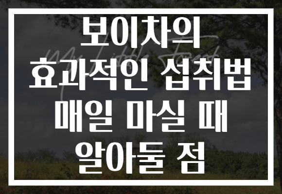 보이차의 효과적인 섭취법 매일 마실 때 알아둘 점