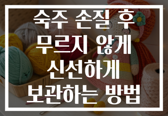 숙주 손질 후 무르지 않게 신선하게 보관하는 방법