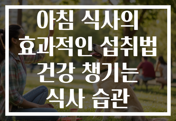 아침 식사의 효과적인 섭취법 건강 챙기는 식사 습관