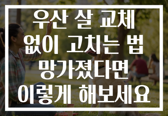 우산 살 교체 없이 고치는 법 망가졌다면 이렇게 해보세요