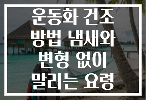 운동화 건조 방법 냄새와 변형 없이 말리는 요령