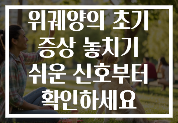 위궤양의 초기 증상 놓치기 쉬운 신호부터 확인하세요