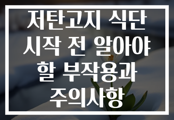 저탄고지 식단 시작 전 알아야 할 부작용과 주의사항